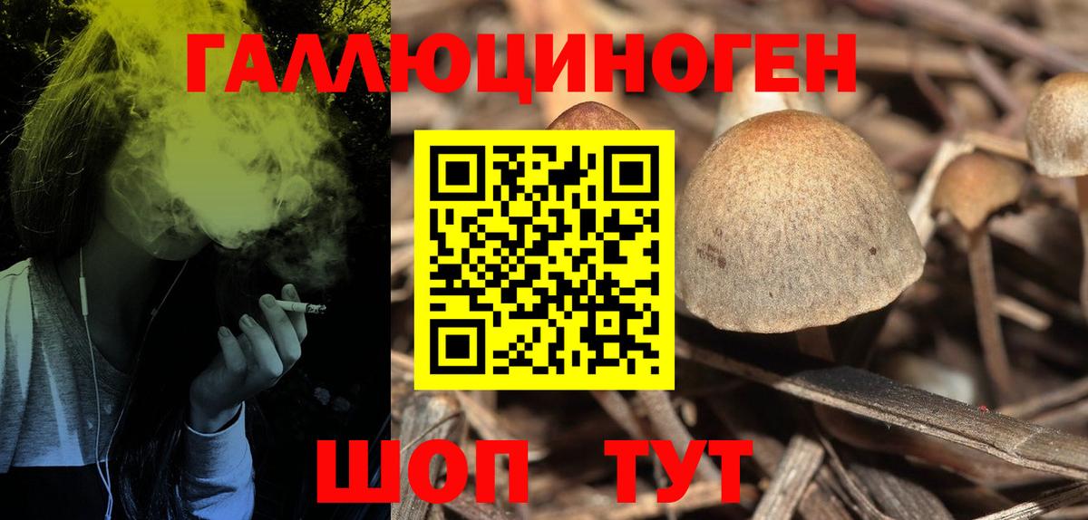 Псилоцибиновые грибы мухоморы  как найти закладки  Спасск-Дальний  Псилоцибиновые грибы Psilocybine cubensis 